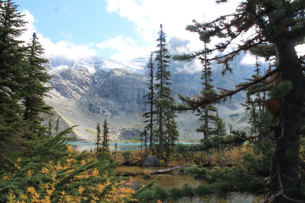 Things to do in Joffre Lakes National Park