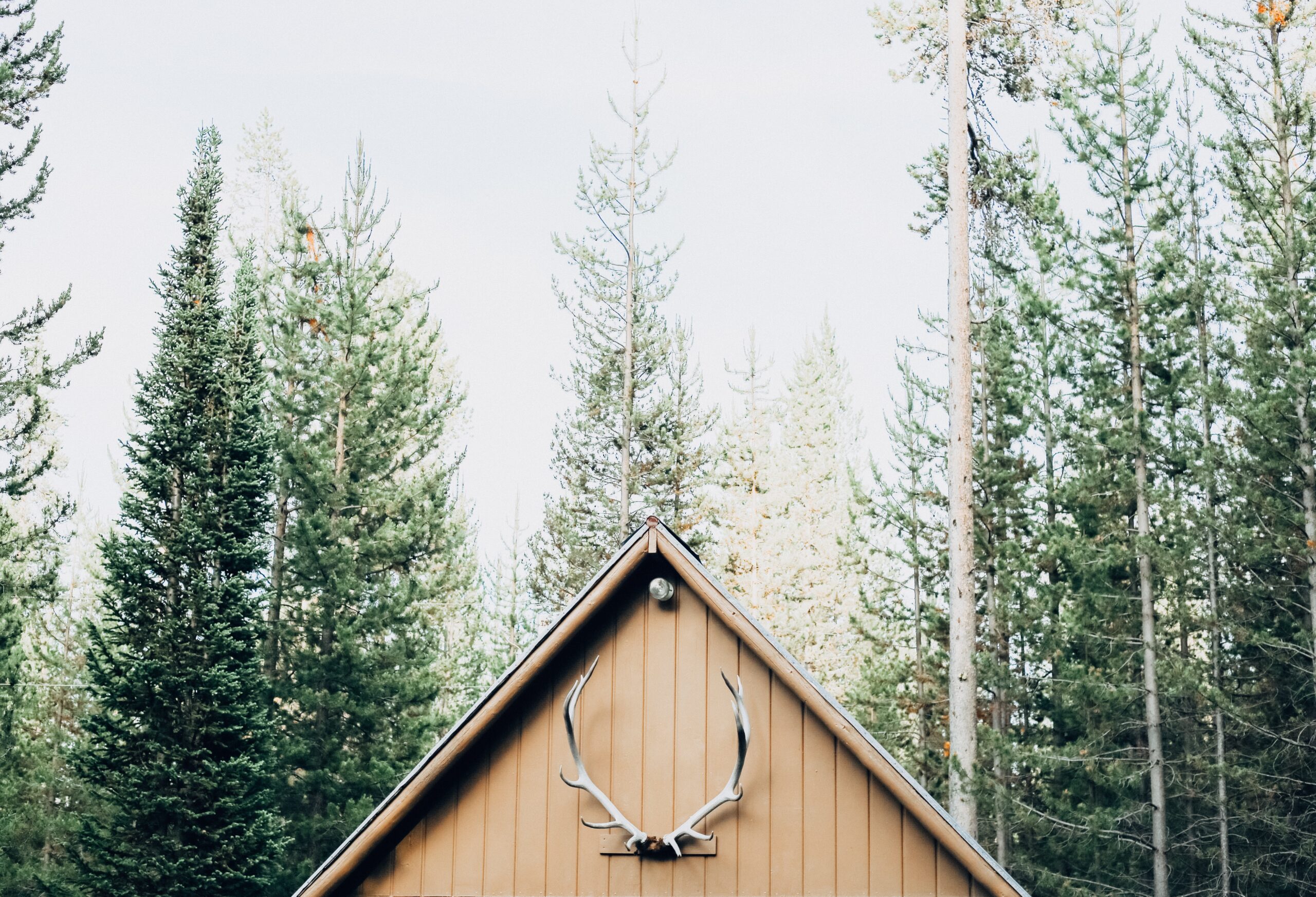 Island Park Idaho