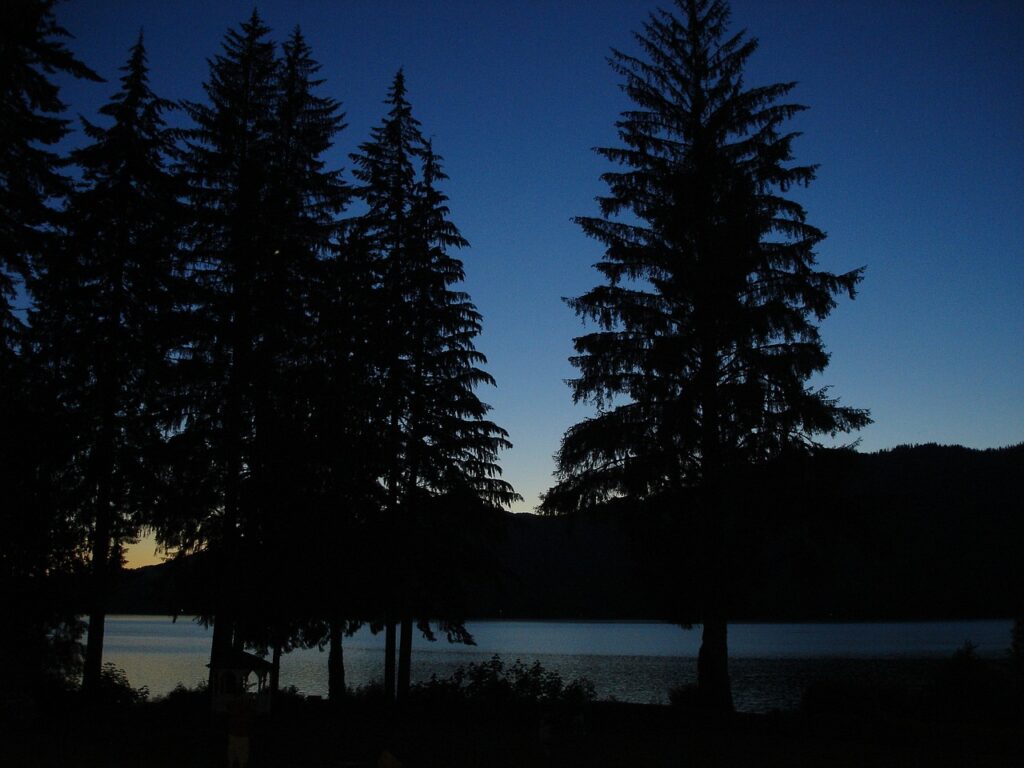 Olympic National Park