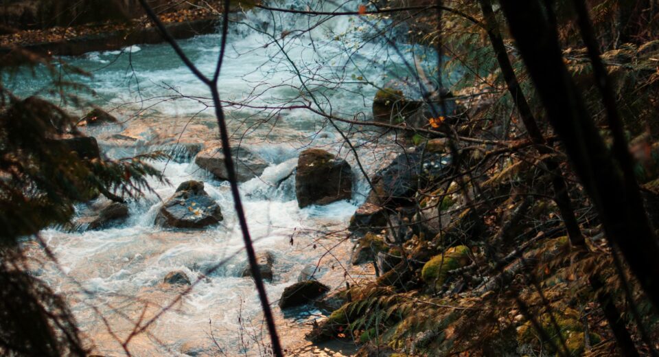 Radium Hot Springs