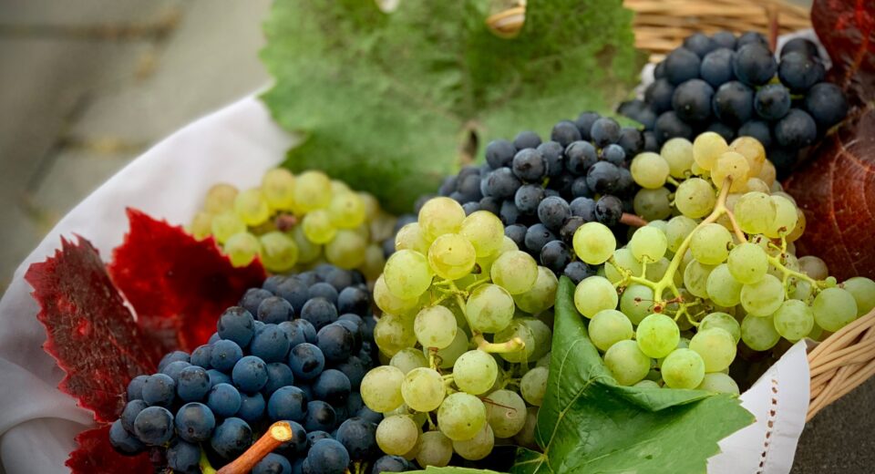How Many Calories are in Grapes