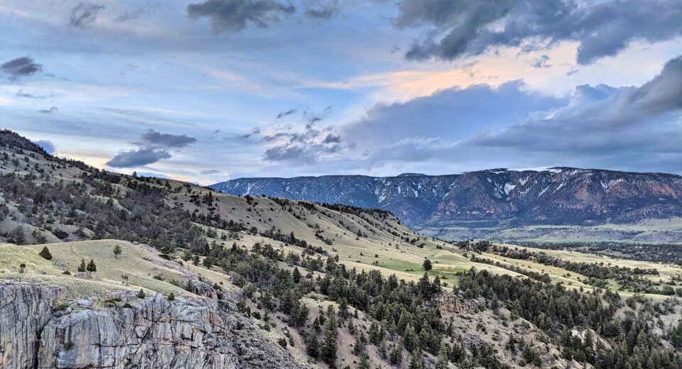 Things to Do in Cody WY