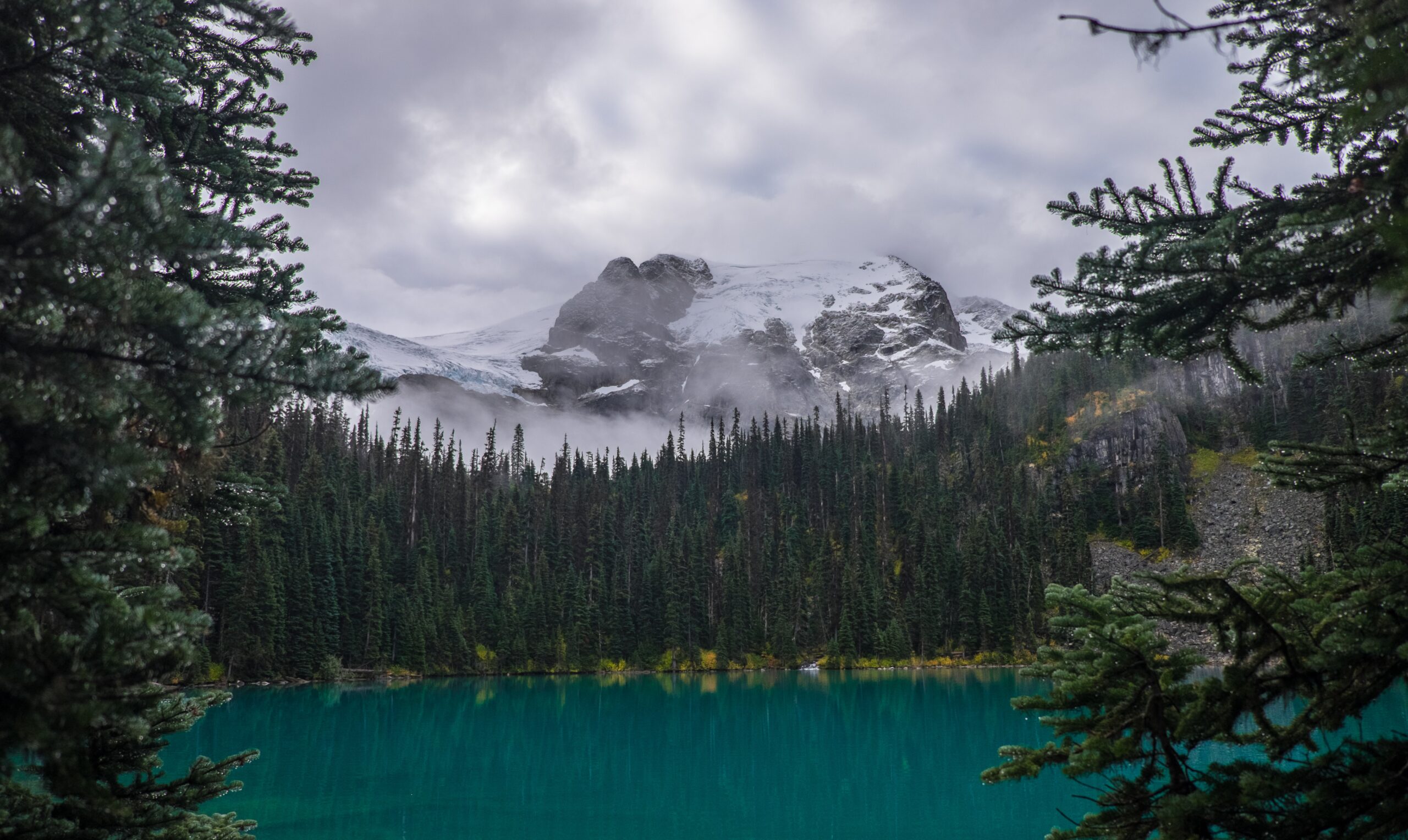 Joffre Lake Hikes