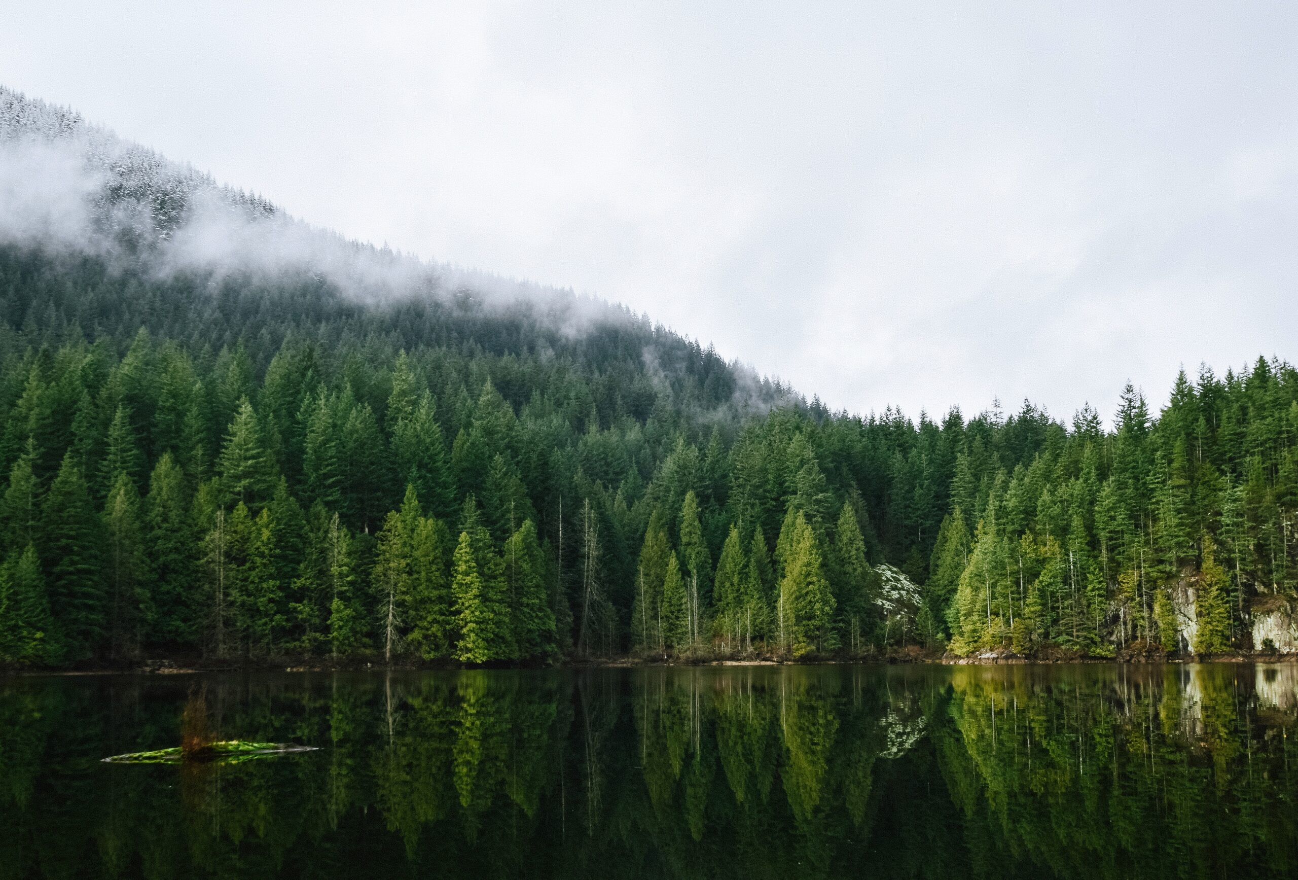 Best hikes in Vancouver