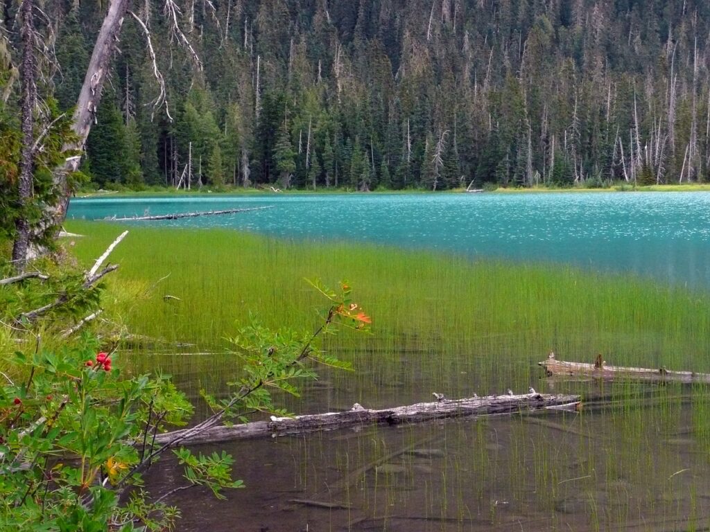 Joffre Lakes Provincial Park