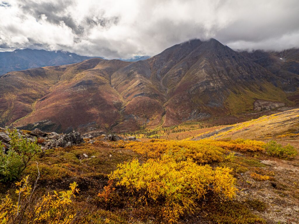 Tombstone Territorial Park