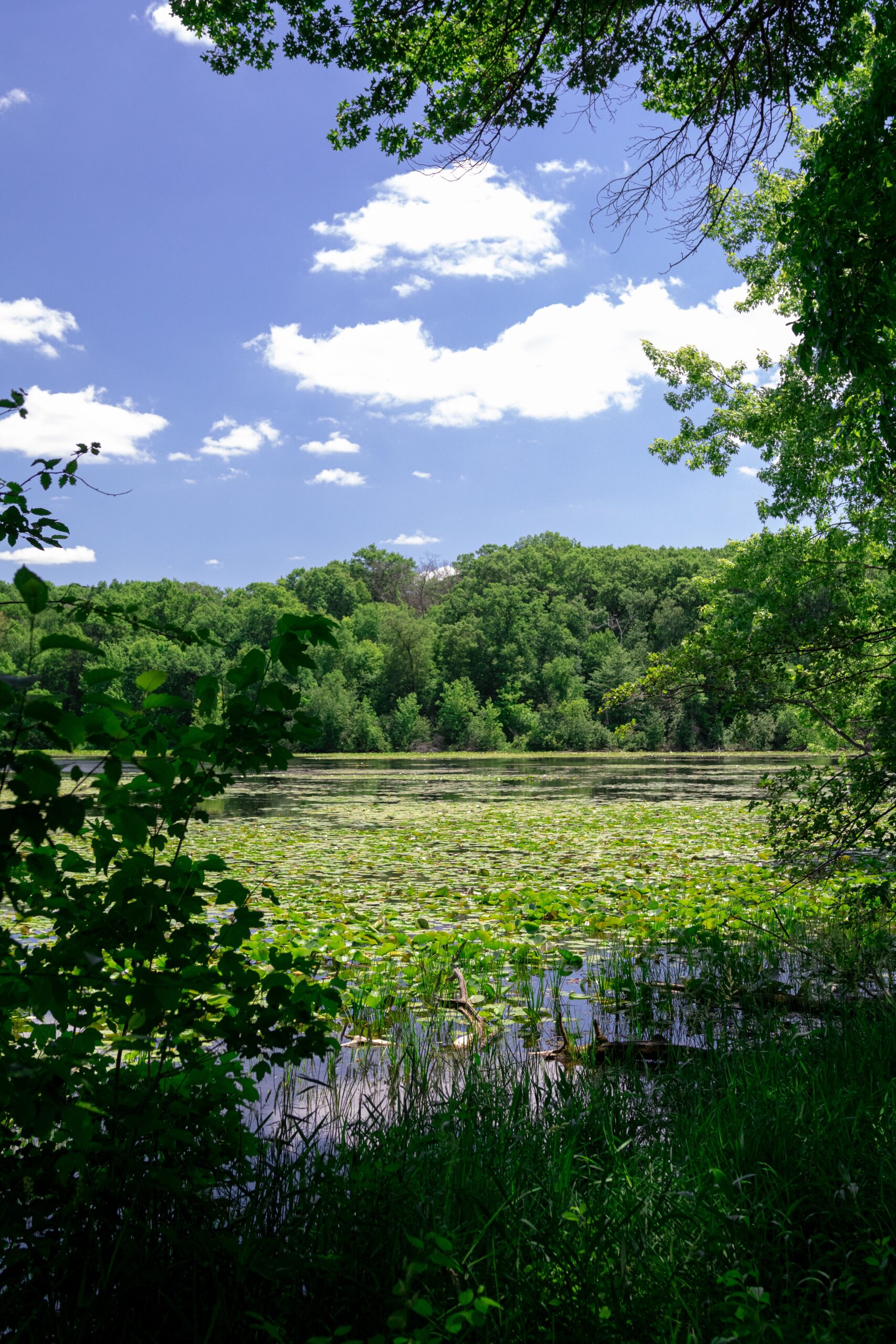 Lebanon Hills Regional Park
