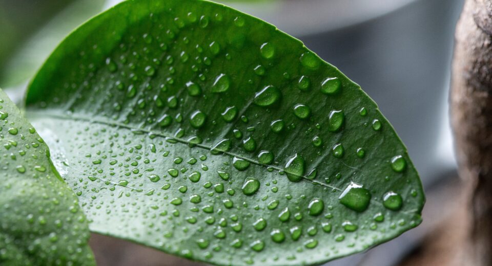 What is Considered High Humidity