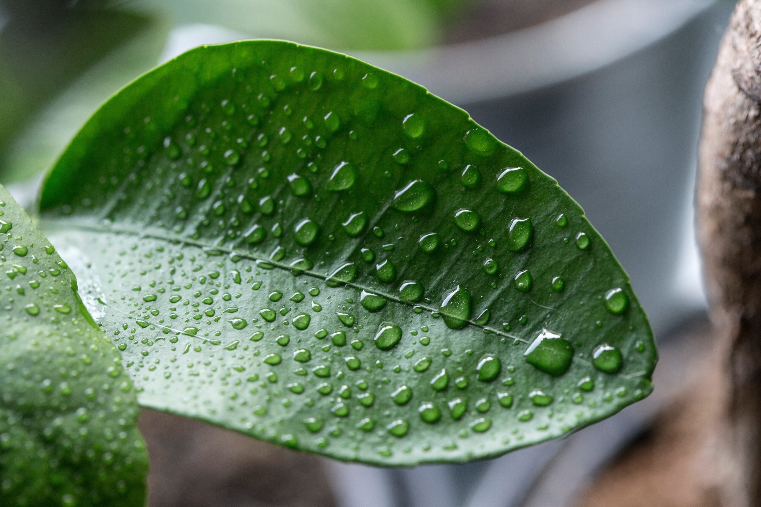 What is Considered High Humidity