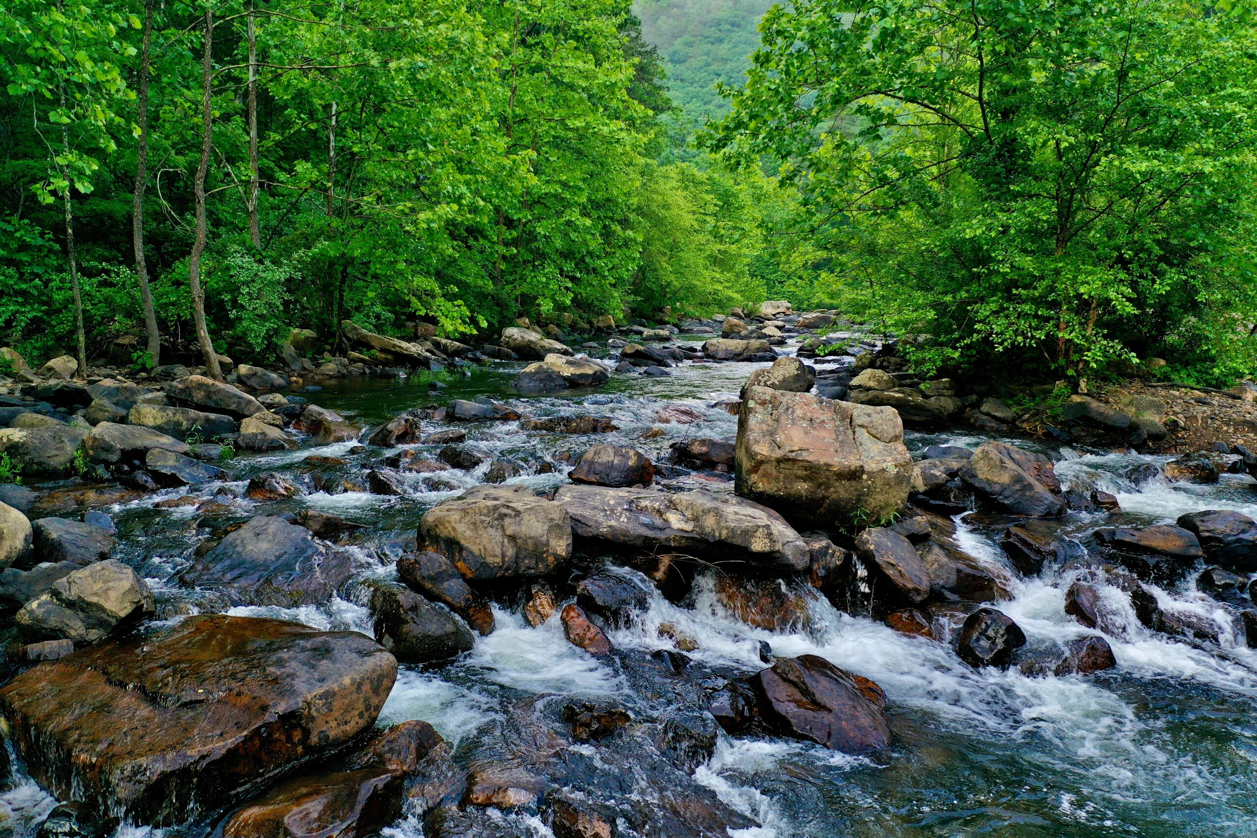 Potomac Overlook Regional Park