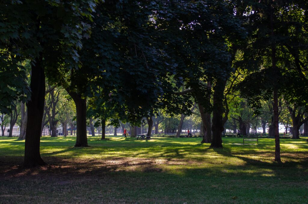Provincial parks in Toronto