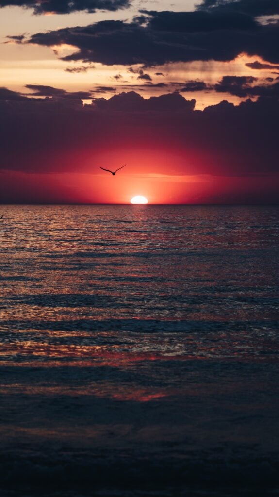 Campgrounds in Wasaga Beach