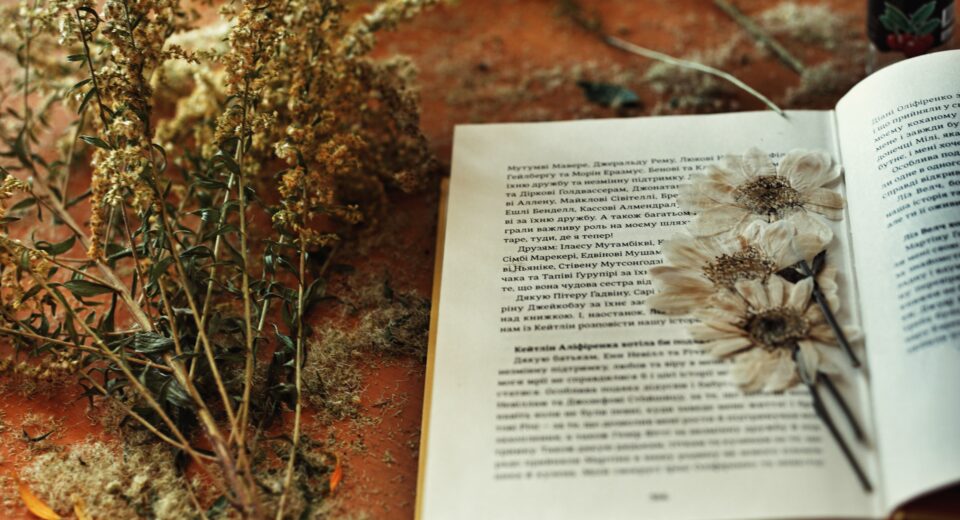 How to Press Flowers