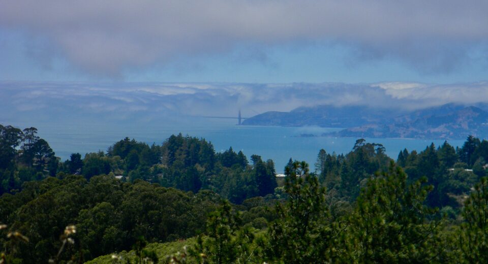 Tilden Regional Park