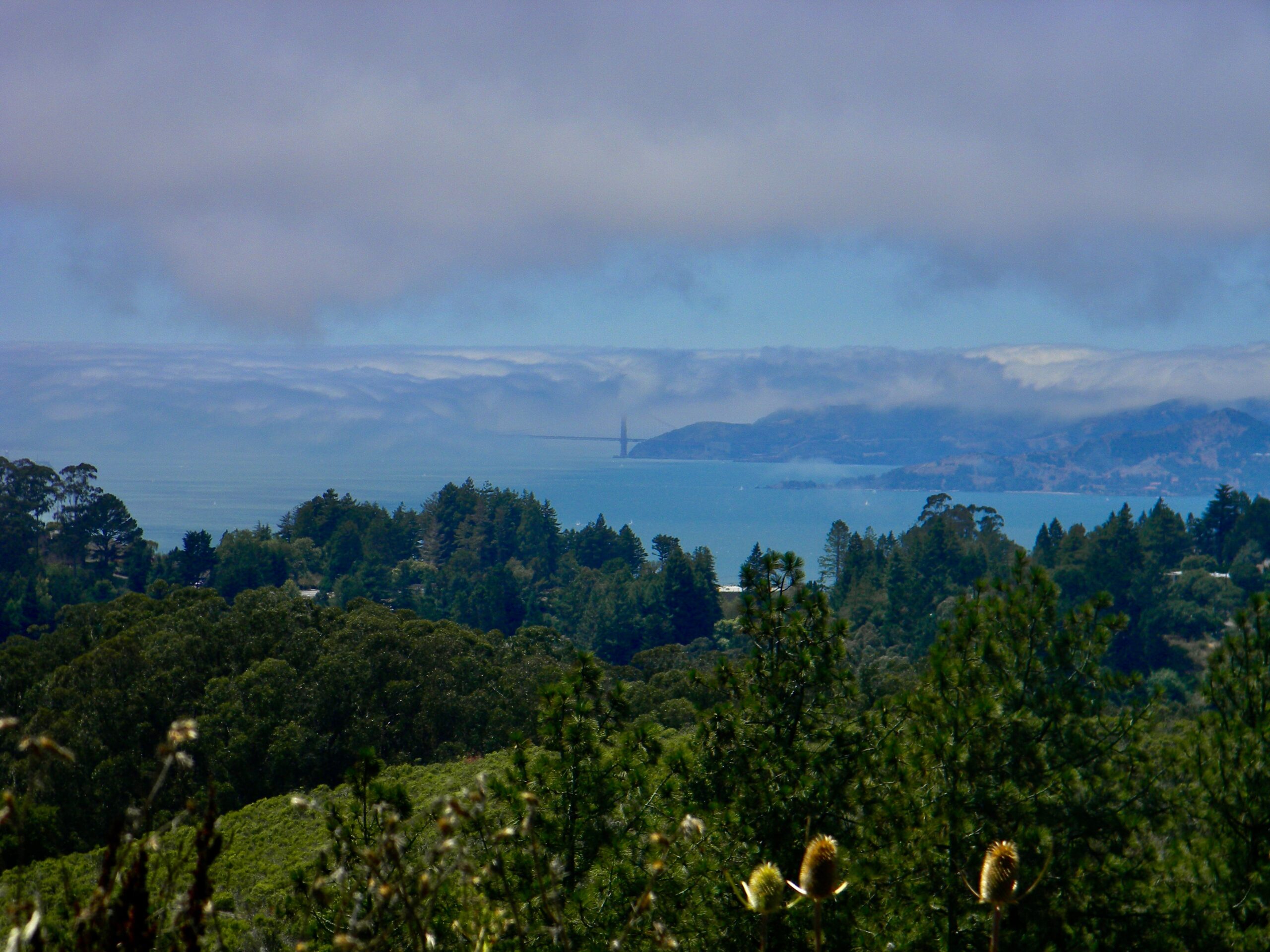 Tilden Regional Park